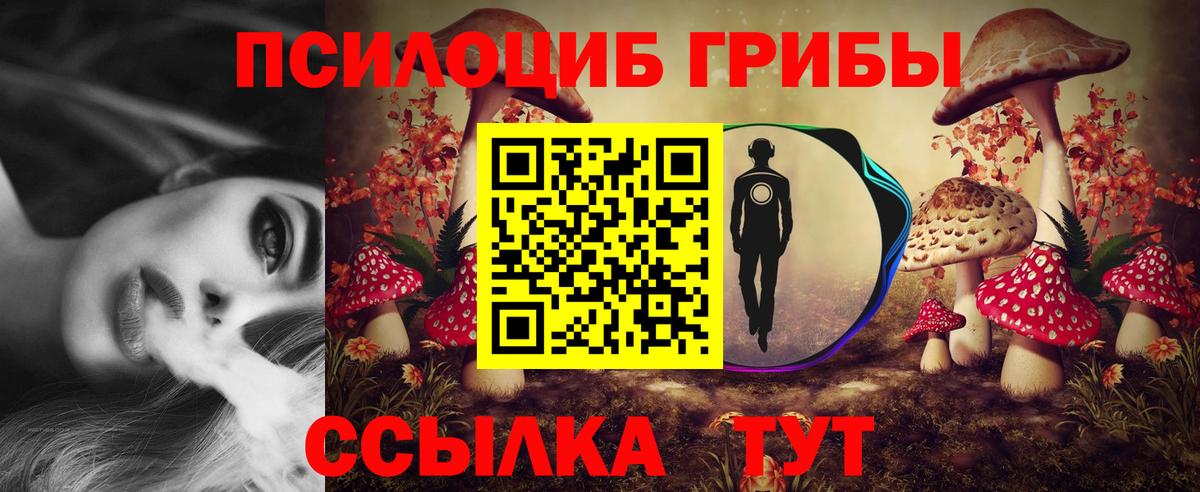 Псилоцибиновые грибы Magic Shrooms  Галлюциногенные грибы MAGIC MUSHROOMS  Сергиев Посад  Вход с VPN 