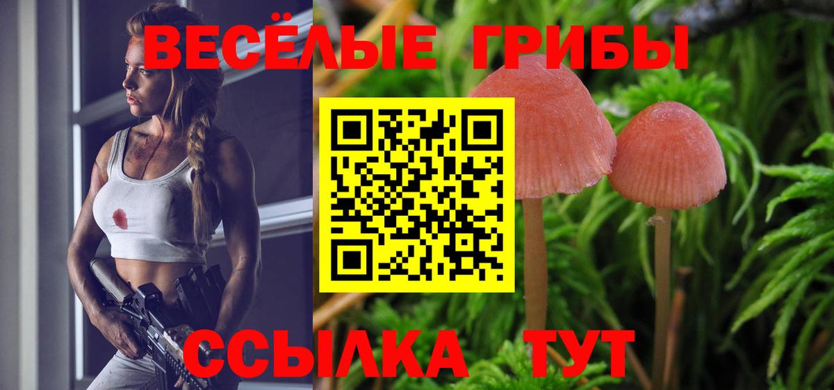 Псилоцибиновые грибы Magic Shrooms Сергиев Посад
